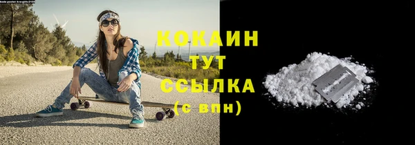 PSILOCYBIN Вуктыл