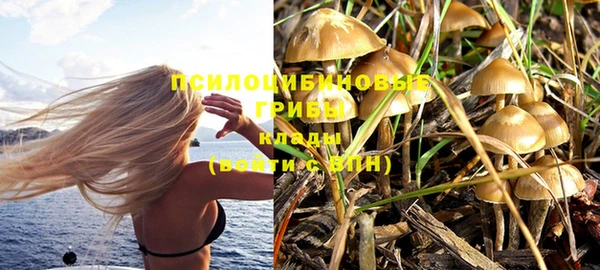 PSILOCYBIN Вуктыл