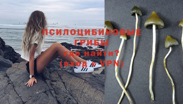 мяу мяу кристалл Магас