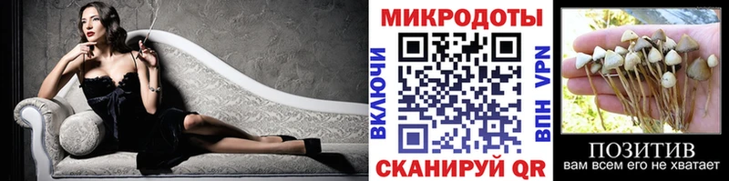 дарк нет Telegram  Мурино  Псилоцибиновые грибы Cubensis  где продают наркотики 