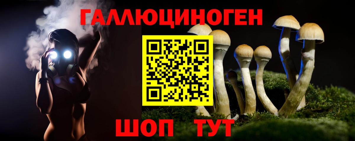 Мурино  Псилоцибиновые грибы Cubensis  Вход с VPN 